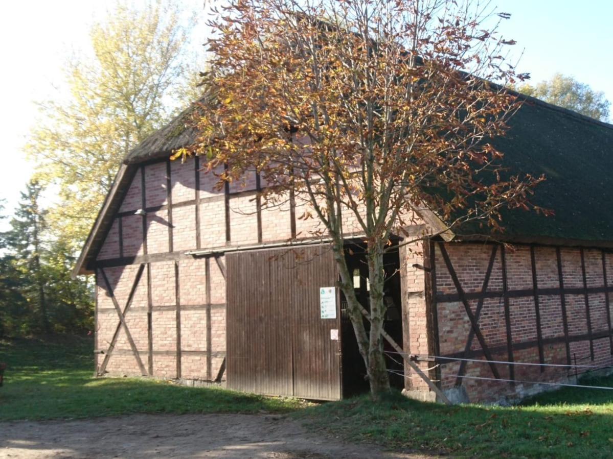 Reiterhof Gross Stubben Apartment Poseritz